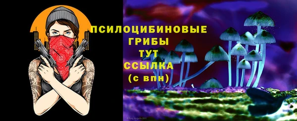 бошки Абаза