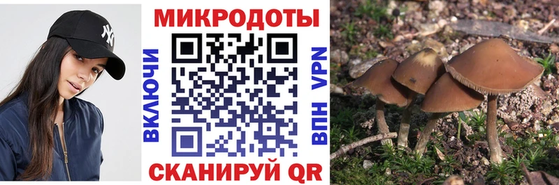 МЕГА вход  Ухта  Псилоцибиновые грибы мицелий 